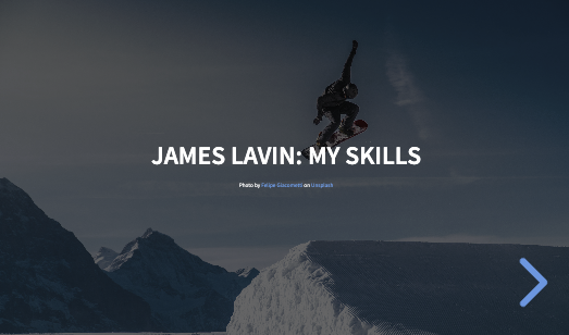 My Skills (downloadable PDF slides)